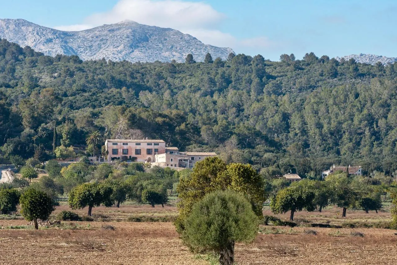 Finca Son Cladera 萨伯布拉 农家乐